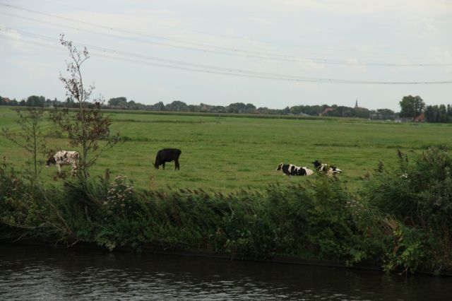 2009-08-Holandsko > obr (26)